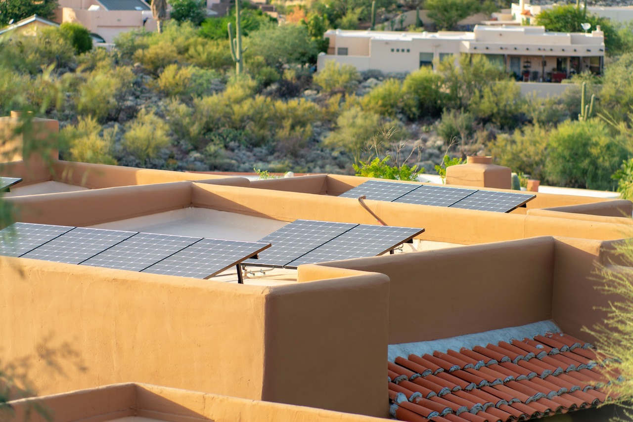 Under solar panels, desert restoration gets a leg up