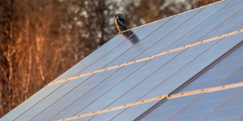 5 Reasons To Install Solar Panels in Winter