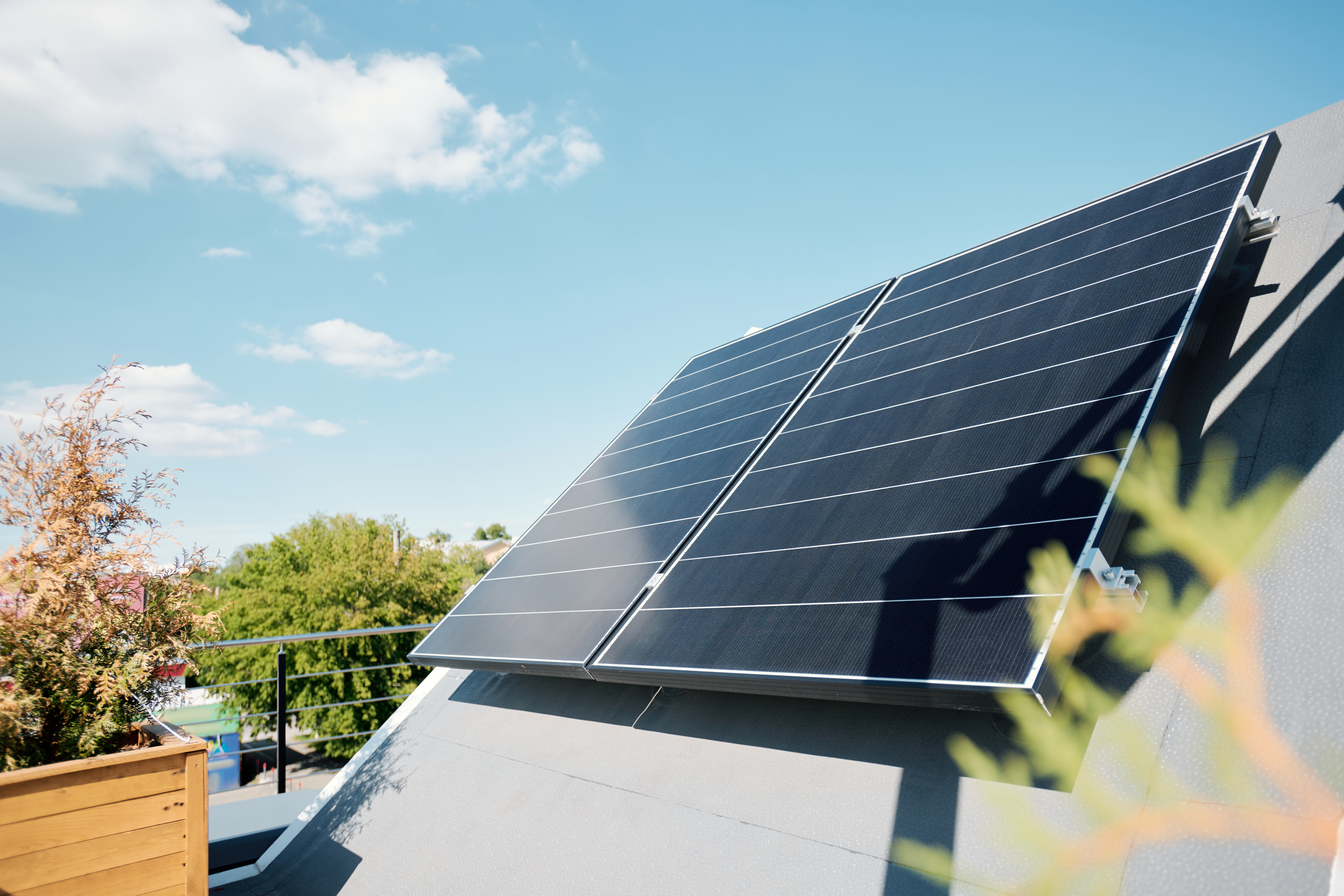 Why Are Solar Panels So Expensive? 4 Ways to Reduce Costs