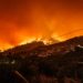Nevada Wildfires