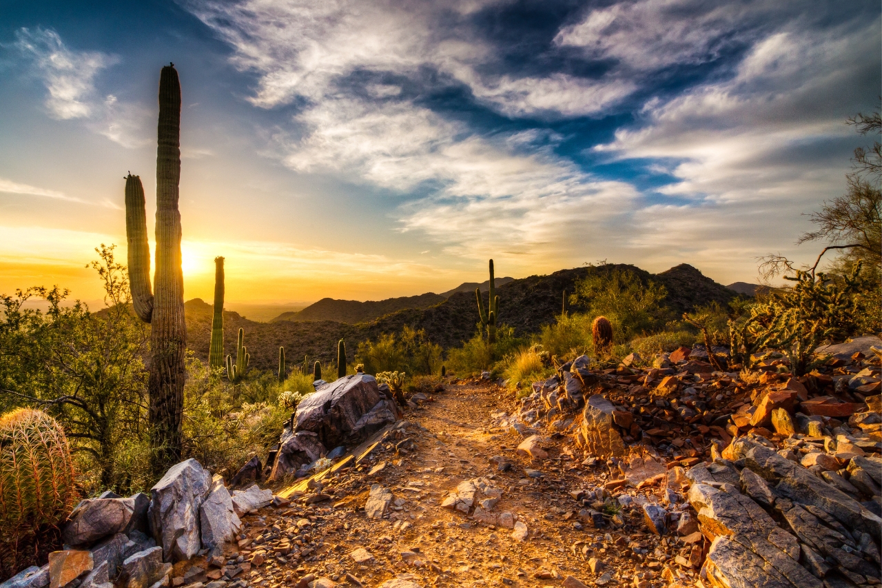 6 Things To Consider Before Going Solar in Arizona