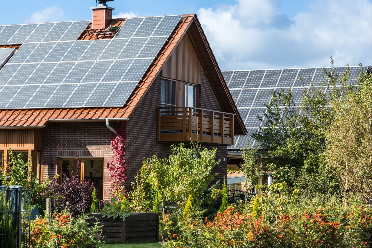 Everything You Need To Know About Leasing Solar Panels