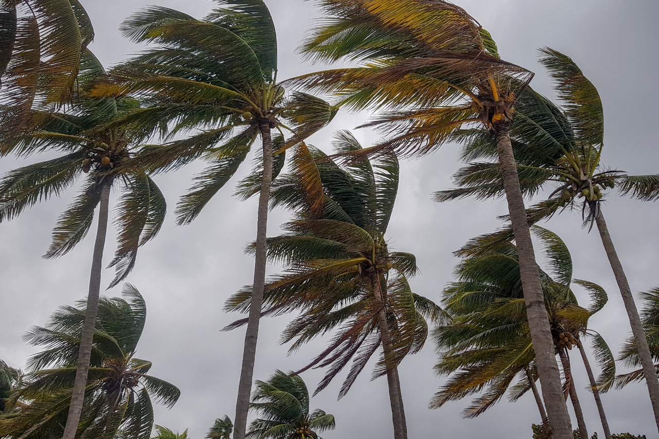Will Your Solar Panels Survive a Hurricane?