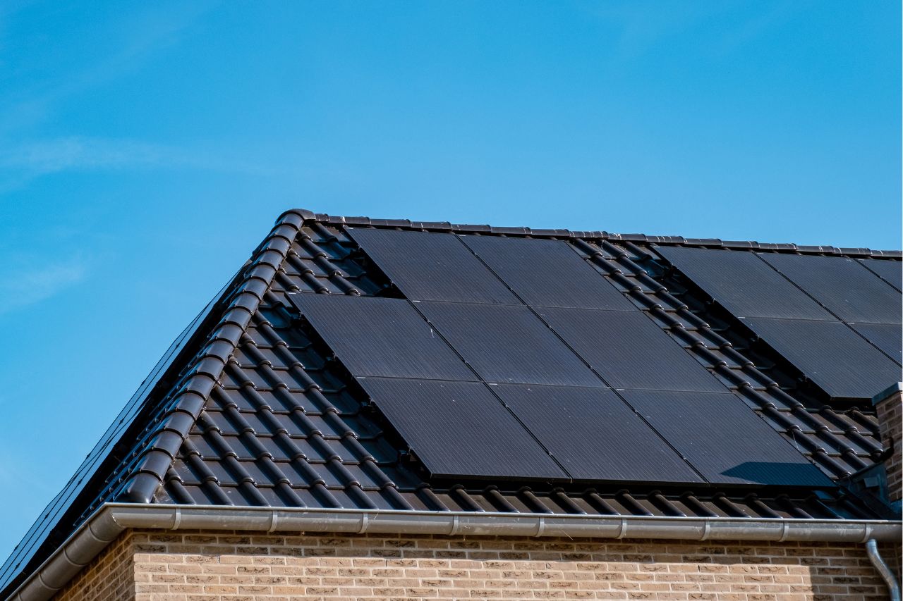 Everything You Need To Know About REC Solar Panels