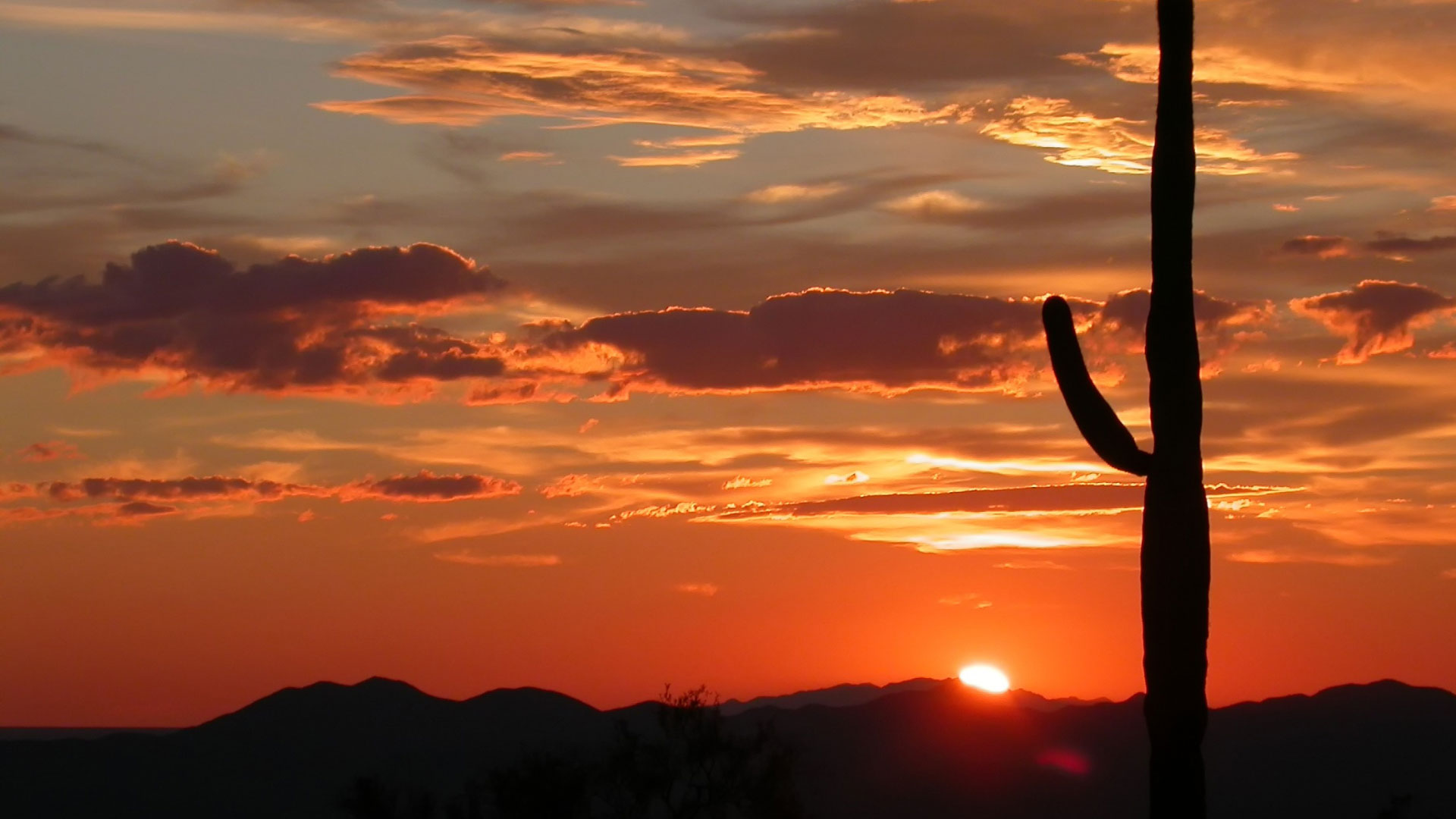 How Solar Energy Is Transforming Arizona’s Public Infrastructure