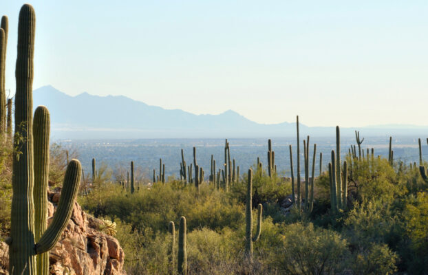 When to Worry About Peak Power Drops in Pima