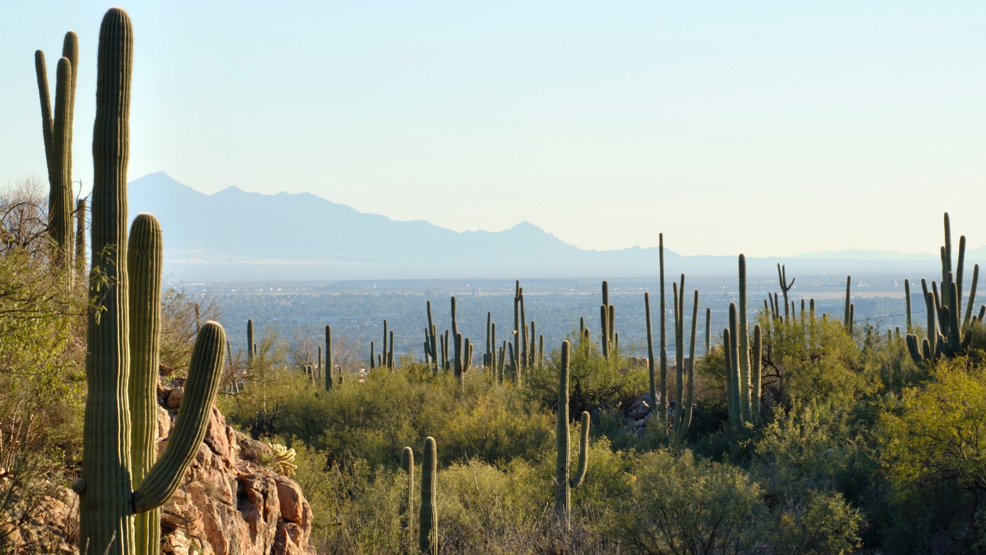 When to Worry About Peak Power Drops in Pima